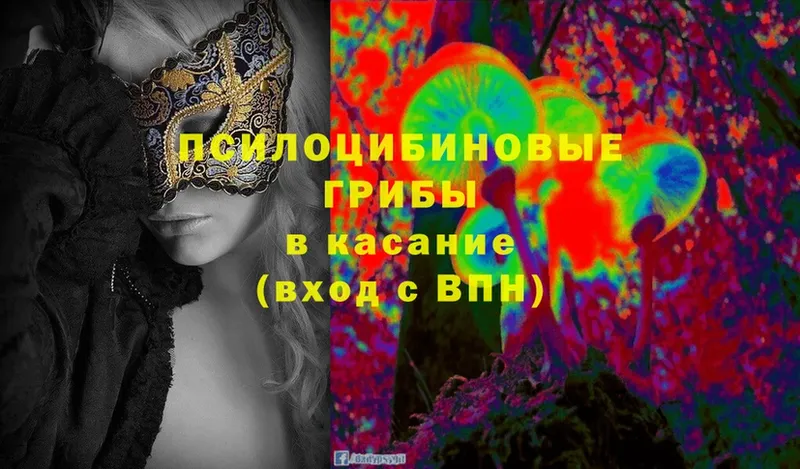 Галлюциногенные грибы MAGIC MUSHROOMS  Краснослободск 